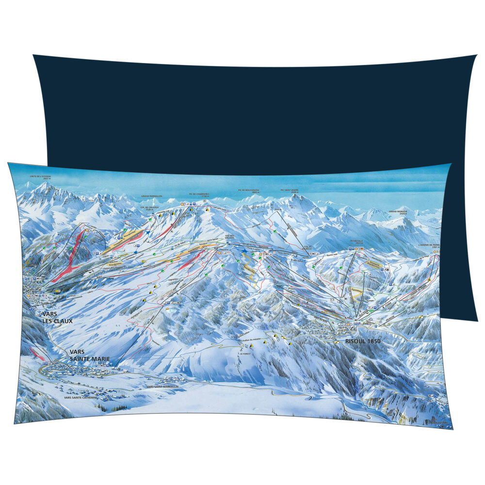 Coussin la foret blanche