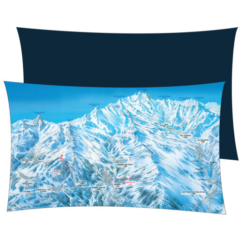 Coussin coupe du monde 23