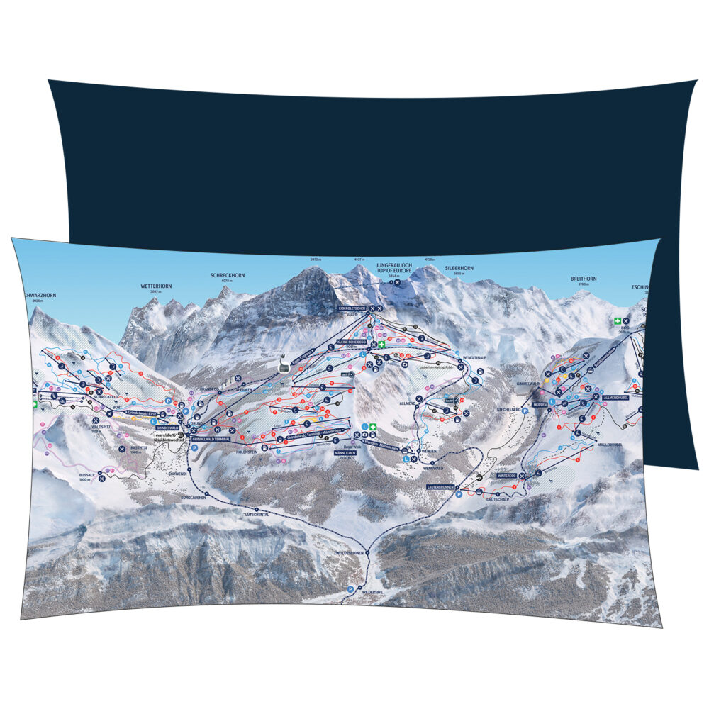 Coussin grindelwald